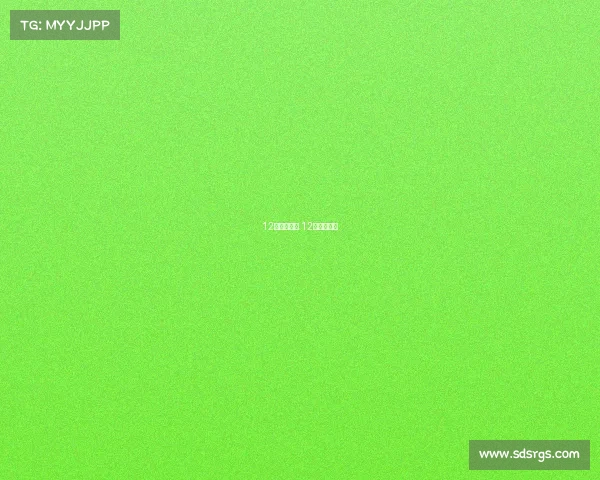 12号赛事安排 12号比赛直播