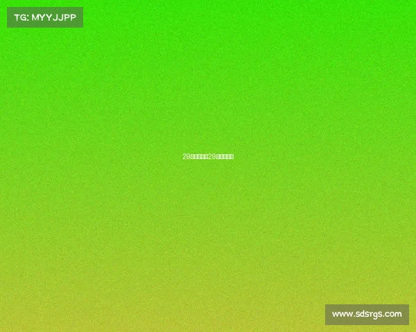 29号赛事结果29号赛事安排