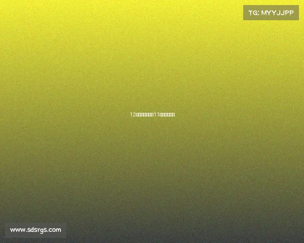 12月辽篮赛事辽篮11月份赛程安排