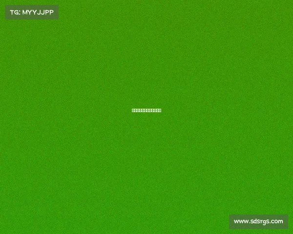 申鑫队赛事—申鑫转会申花